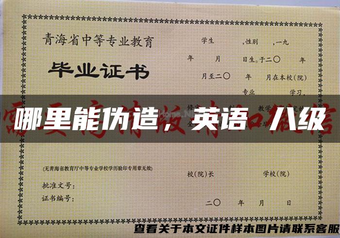 哪里能伪造，英语 八级