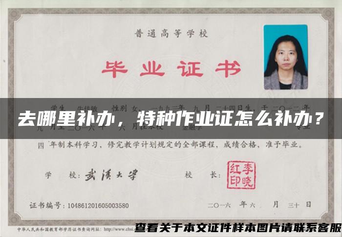 去哪里补办，特种作业证怎么补办？