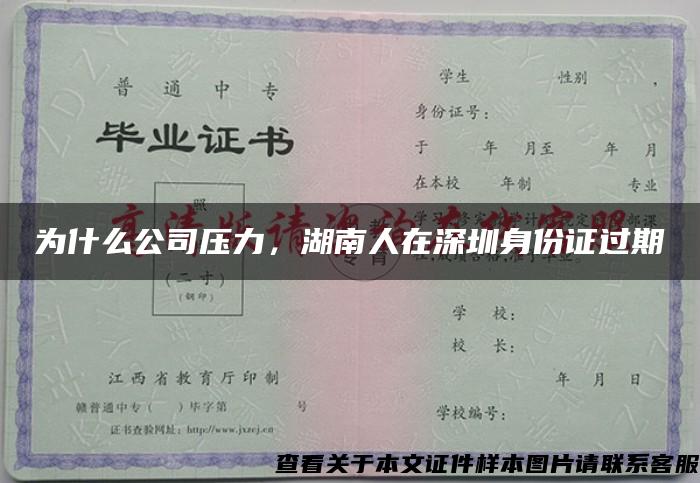 为什么公司压力，湖南人在深圳身份证过期