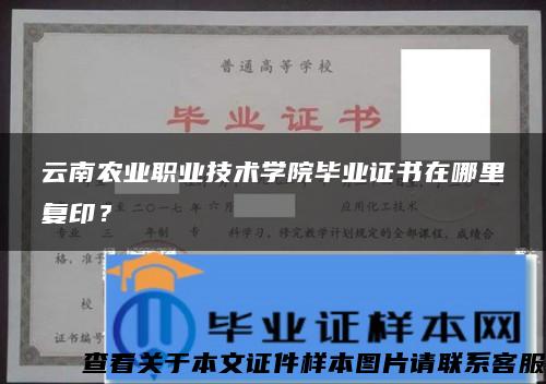 云南农业职业技术学院毕业证书在哪里复印？