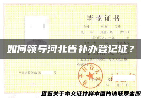 如何领导河北省补办登记证？