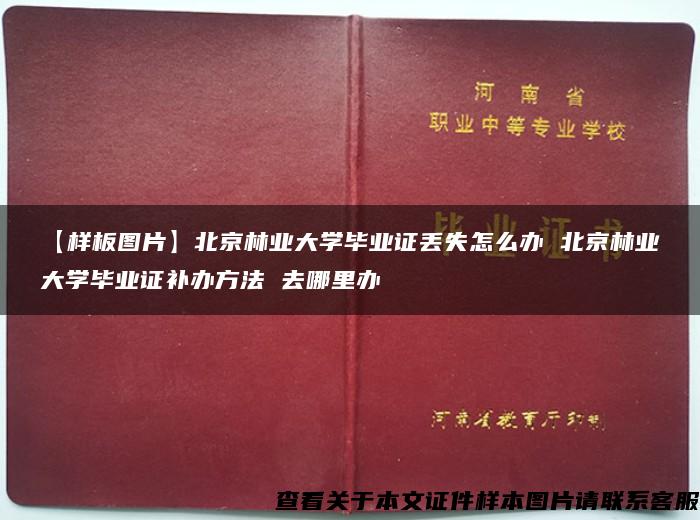 【样板图片】北京林业大学毕业证丢失怎么办 北京林业大学毕业证补办方法 去哪里办