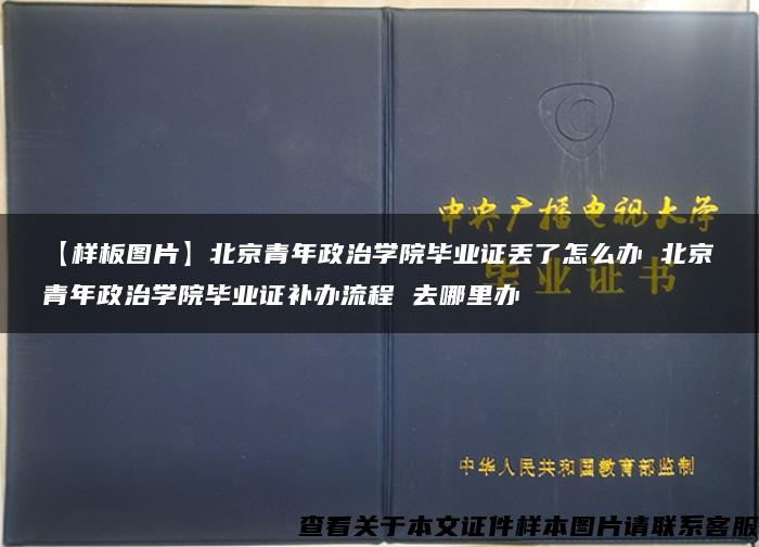 【样板图片】北京青年政治学院毕业证丢了怎么办 北京青年政治学院毕业证补办流程 去哪里办