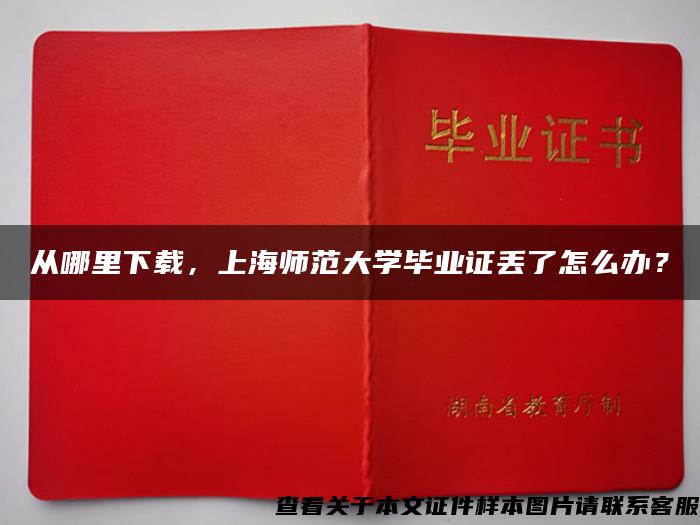 从哪里下载，上海师范大学毕业证丢了怎么办？
