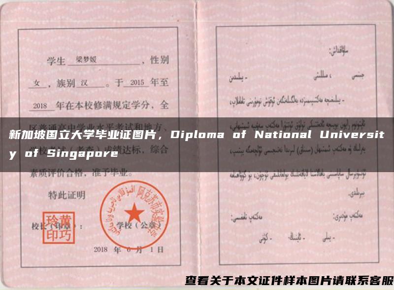 新加坡国立大学毕业证图片，Diploma of National University of Singapore