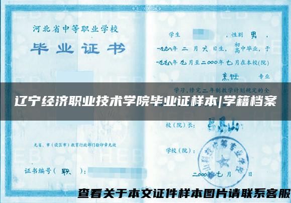 辽宁经济职业技术学院毕业证样本|学籍档案