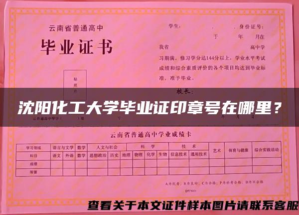 沈阳化工大学毕业证印章号在哪里? 沈阳化工大学毕业证印章号在哪里?