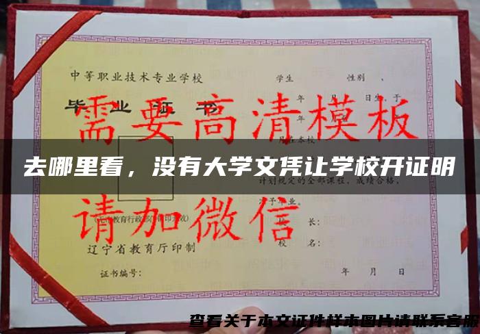 去哪里看，没有大学文凭让学校开证明