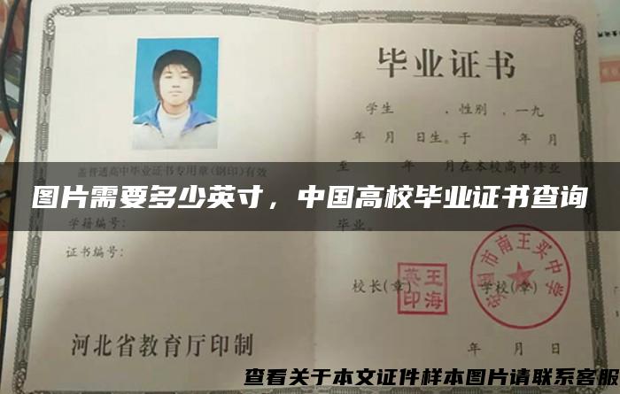 图片需要多少英寸，中国高校毕业证书查询