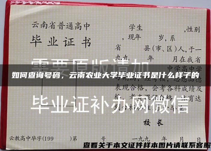 如何查询号码，云南农业大学毕业证书是什么样子的