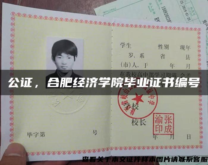 公证,合肥经济学院毕业证书编号 公证,合肥经济学院毕业证书编号