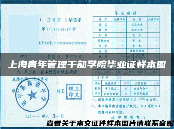 上海青年管理干部学院毕业证样本图
