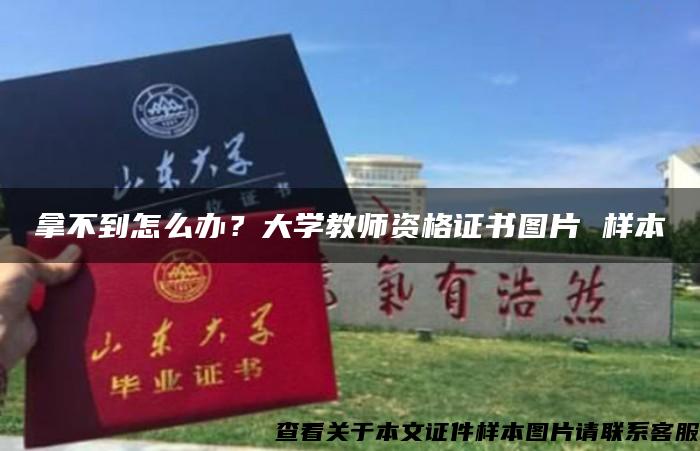 拿不到怎么办？大学教师资格证书图片 样本