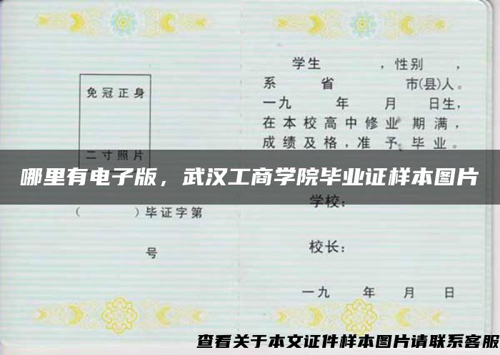 哪里有电子版，武汉工商学院毕业证样本图片