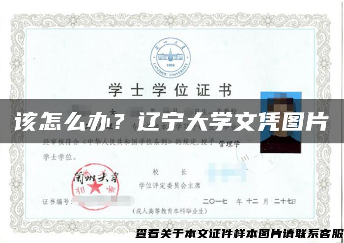 该怎么办？辽宁大学文凭图片