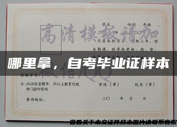 哪里拿,自考毕业证样本 哪里拿,自考毕业证样本