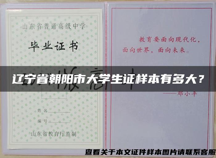辽宁省朝阳市大学生证样本有多大？