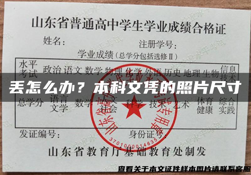 丢怎么办？本科文凭的照片尺寸