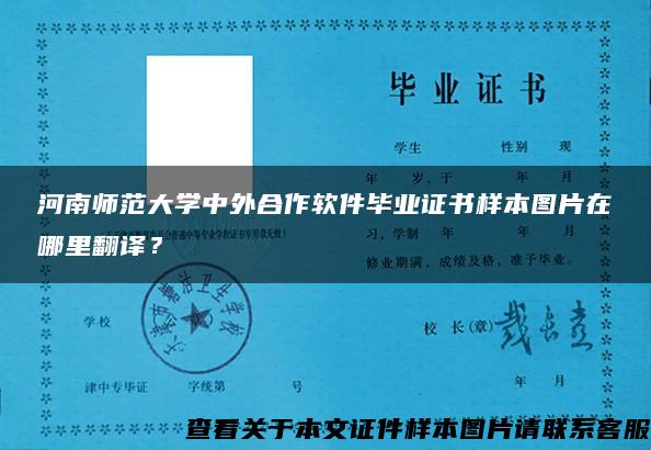 河南师范大学中外合作软件毕业证书样本图片在哪里翻译？