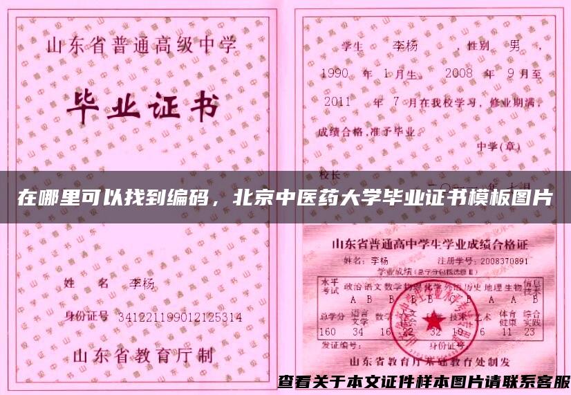 在哪里可以找到编码，北京中医药大学毕业证书模板图片