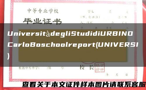 UniversitàdegliStudidiURBINOCarloBoschoolreport(UNIVERSI)
