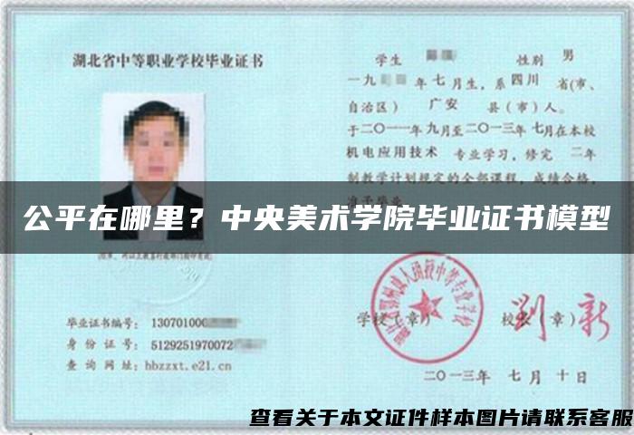 公平在哪里?中央美术学院毕业证书模型 公平在哪里?中央美术学院毕业证书模型