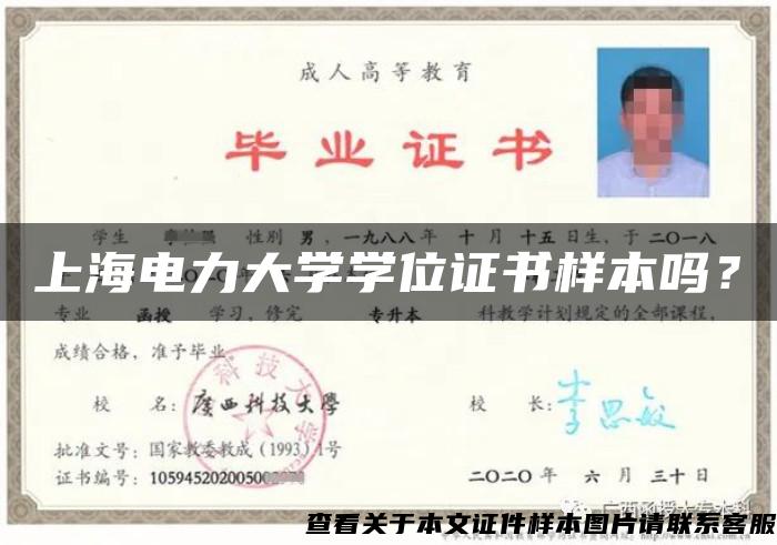 上海电力大学学位证书样本吗？