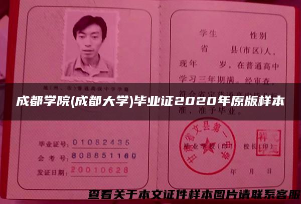 成都学院(成都大学)毕业证2020年原版样本