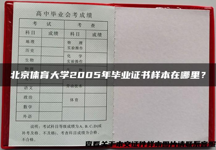 北京体育大学2005年毕业证书样本在哪里？