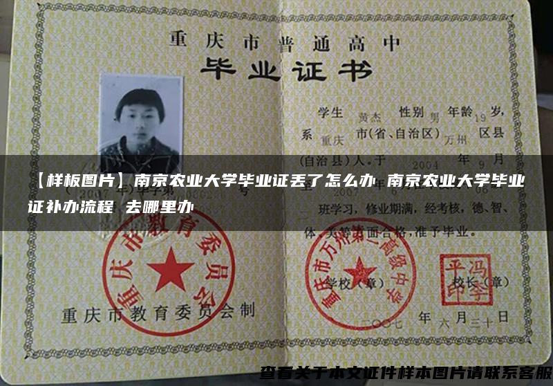 【样板图片】南京农业大学毕业证丢了怎么办 南京农业大学毕业证补办流程 去哪里办