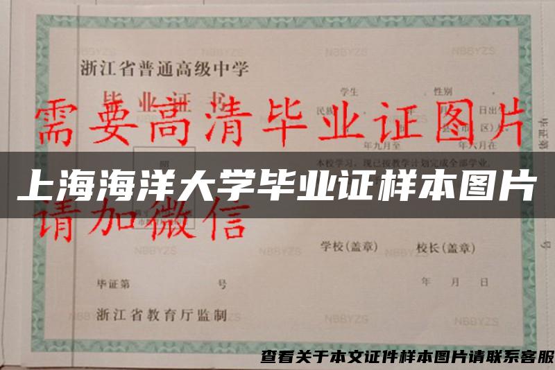 上海海洋大学毕业证样本图片