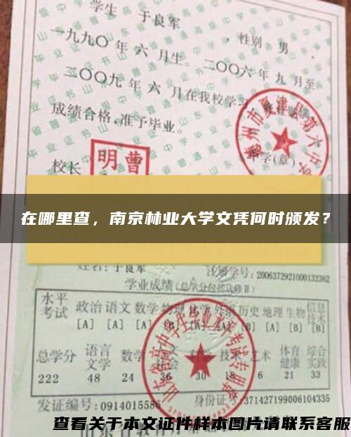 在哪里查，南京林业大学文凭何时颁发？
