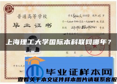 上海理工大学国际本科联网哪年？