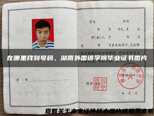 在哪里找到号码，湖南外国语学院毕业证书图片