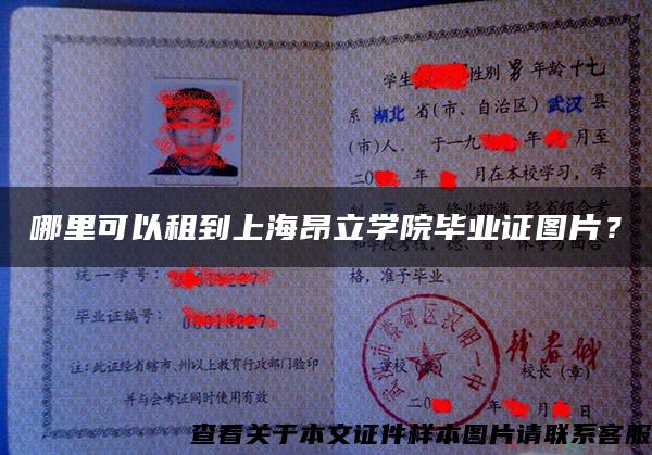 哪里可以租到上海昂立学院毕业证图片？