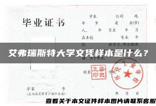 艾弗瑞斯特大学文凭样本是什么？