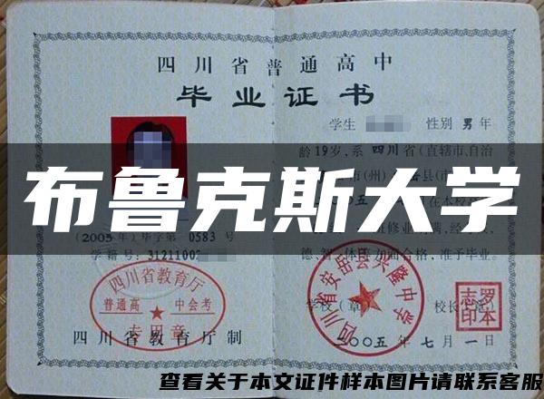 布鲁克斯大学 布鲁克斯大学