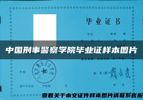 中国刑事警察学院毕业证样本图片