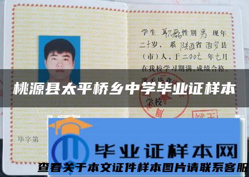 桃源县太平桥乡中学毕业证样本