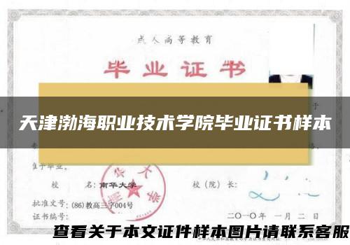 天津渤海职业技术学院毕业证书样本