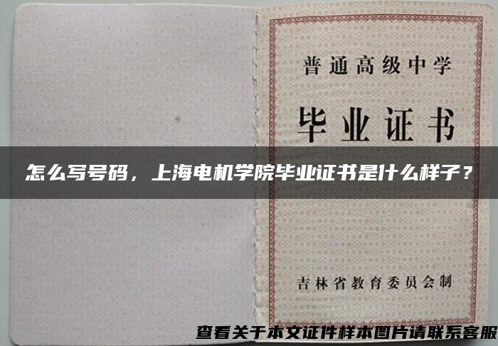 怎么写号码，上海电机学院毕业证书是什么样子？