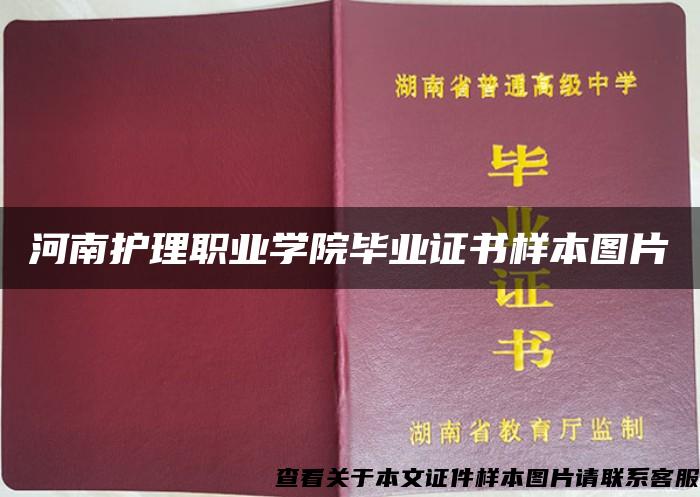 河南护理职业学院毕业证书样本图片