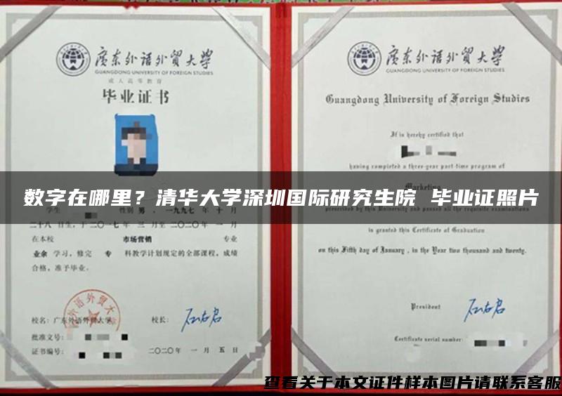数字在哪里？清华大学深圳国际研究生院 毕业证照片