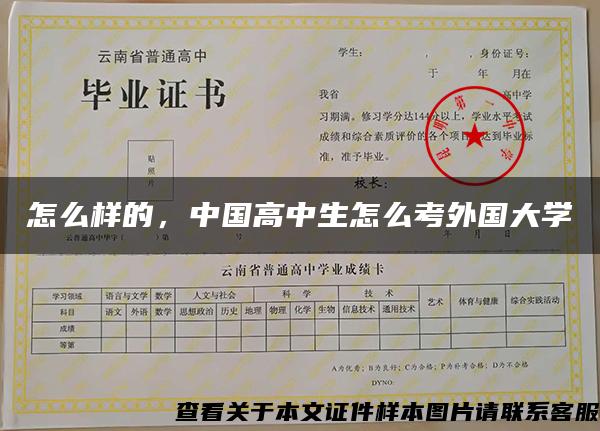 怎么样的，中国高中生怎么考外国大学