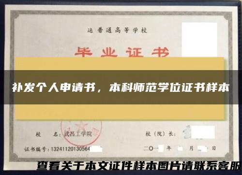 补发个人申请书，本科师范学位证书样本