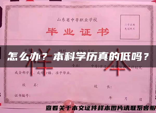 怎么办？本科学历真的低吗？