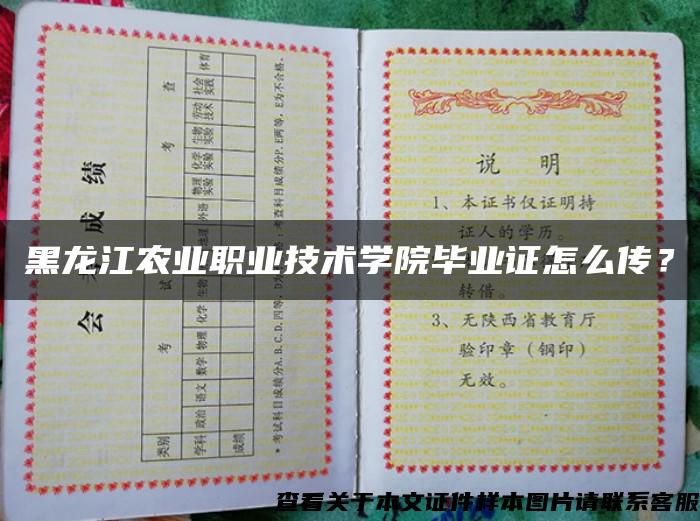黑龙江农业职业技术学院毕业证怎么传？