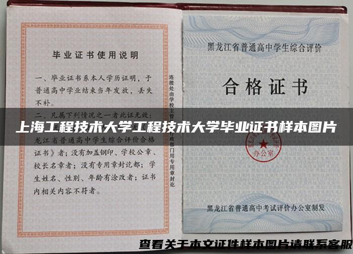 上海工程技术大学工程技术大学毕业证书样本图片