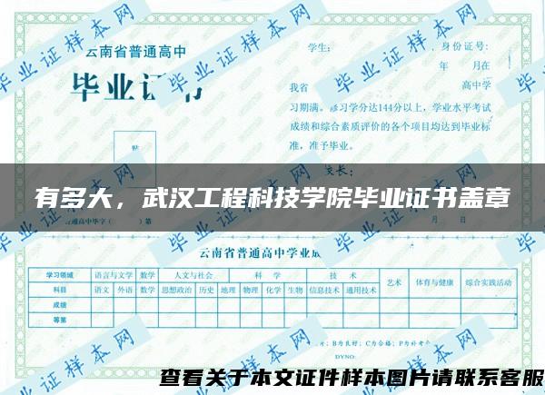 有多大，武汉工程科技学院毕业证书盖章
