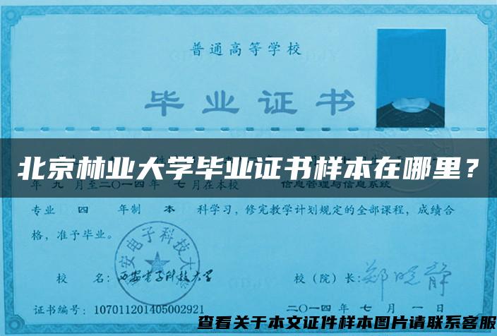 北京林业大学毕业证书样本在哪里？